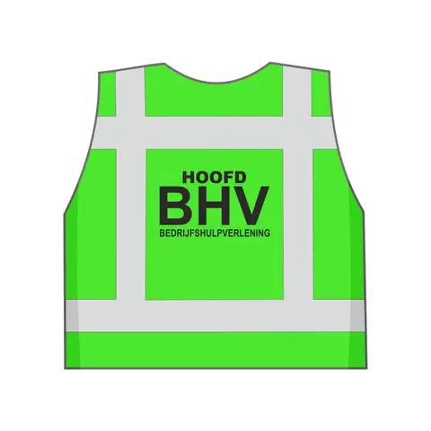 Hoofd BHV Veiligheidshesje Groen - Duidelijk Zichtbaar en Professioneel